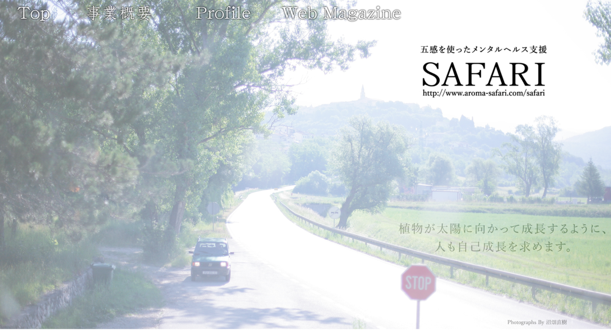 Safariコンテンツサイト